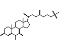Tauro-α-muricholic Acid