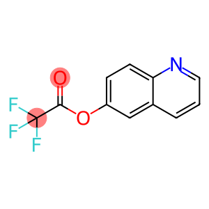 Quinolin-6-Yl 2,2,2-Trifluoroacetate