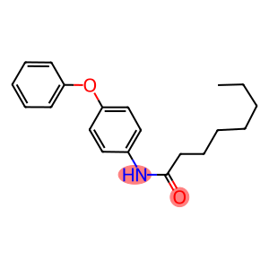 N-(4-phenoxyphenyl)octanamide