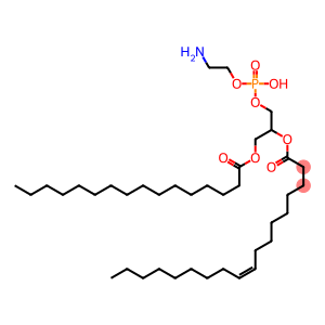 1-棕榈酰基-2-油酰基磷脂酰乙醇胺(POPE)