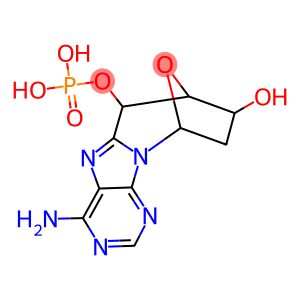 8,5'-cyclo(deoxyadenosine 5'-monophosphate)