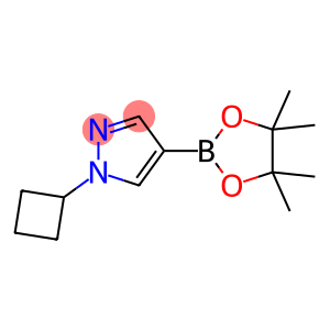 1-cyclobutyl-4-(4,4,5,5-tetramethyl-1,3,2-dioxaborolan-2-yl)pyrazole