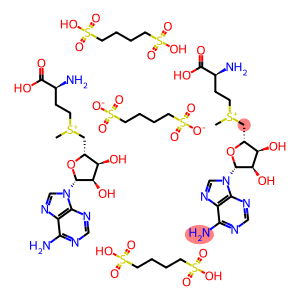 S-腺苷-L-蛋氨酸 1,4-丁二磺酸盐