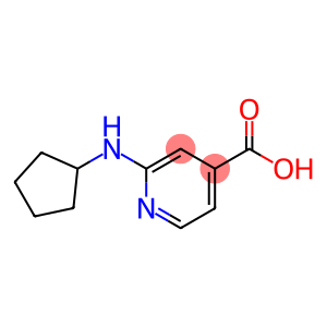2-(Cyclopentylamino)isonicotinic acid