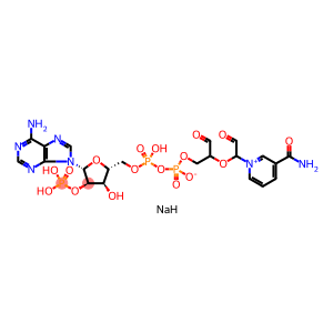 β-nicotinamide adenine dinucleotide phosphate, periodate oxidized sodium salt