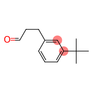 Benzenepropanal, 3-(1,1-diMethylethyl)-