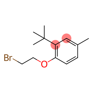 1-(2-bromoethoxy)-2-tert-butyl-4-methylbenzene