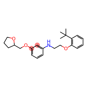 N-{2-[2-(tert-Butyl)phenoxy]ethyl}-3-(tetrahydro-2-furanylmethoxy)aniline
