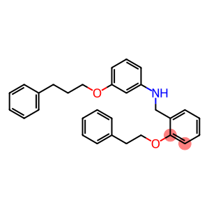 N-[2-(Phenethyloxy)benzyl]-3-(3-phenylpropoxy)aniline