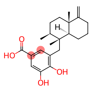Siphonodictyoic acid