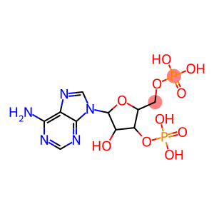 [5-(6-aminopurin-9-yl)-4-hydroxy-3-phosphonooxy-oxolan-2-yl]methoxyphosphonic acid