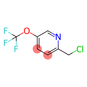 2-(ChloroMethyl)-5-(trifluoroMethoxy)pyridine