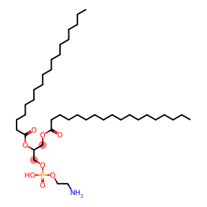 1,2-二硬脂酰基-SN-丙三基-3-磷脂酰乙醇胺