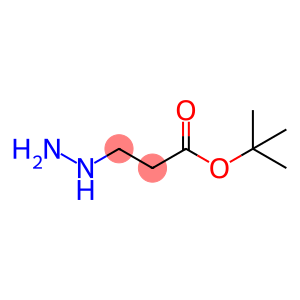 Propanoic acid, 3-hydrazinyl-, 1,1-diMethylethyl ester
