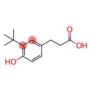 3-叔丁基-4-羟基苯丙酸