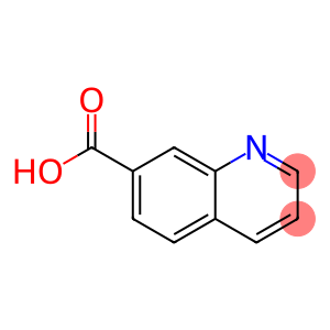 quinolin-7-carboxylic acid