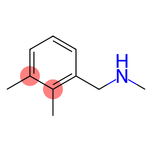 (2,3-dimethylbenzyl)methylamine(SALTDATA: FREE)
