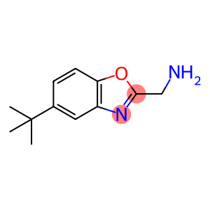 (5-tert-Butyl-1,3-benzoxazol-2-yl)methylaminehydrochloride