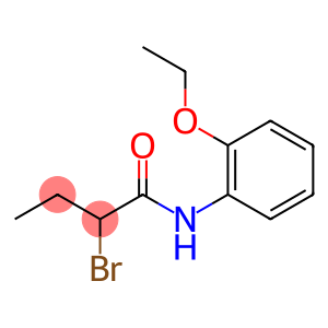 2-溴-N-(2-乙氧苯基)丁酰胺
