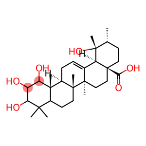 19-四羟基-12-乌苏烯-28-酸