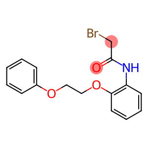 2-Bromo-N-[2-(2-phenoxyethoxy)phenyl]acetamide