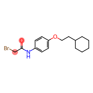 2-Bromo-N-[4-(2-cyclohexylethoxy)phenyl]acetamide