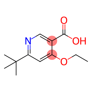 3-Pyridinecarboxylic acid, 6-(1,1-dimethylethyl)-4-ethoxy-