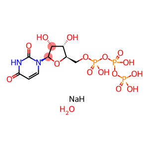 尿苷-5'-三磷酸三钠盐二水合物