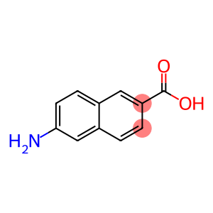 6-Aminonaphthalene-2-carboxylic acid, 6-Amino-2-carboxynaphthalene