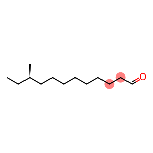 Dodecanal, 10-methyl-, (R)- (9CI)