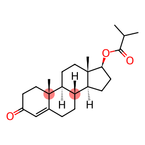 (17beta)-3-oxoandrost-4-en-17-yl 2-methylpropanoate