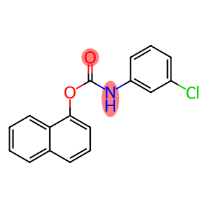 Naphthalen-1-yl (3-chlorophenyl)carbamate