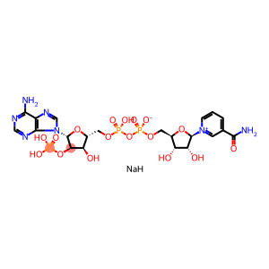 Β-烟酰胺腺嘌呤二核苷酸磷酸(辅酶II)一钠盐