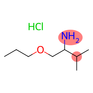 3-Methyl-1-propoxy-2-butanamine hydrochloride