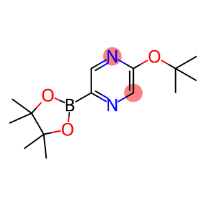5-tert-butoxypyrazin-2-ylboronic acid pinacol ester