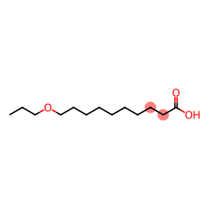 10-(propoxy)decanoyl-coenzyme A