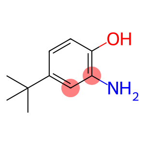 2-氨基-4-叔丁基苯酚