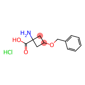 1-amino-3-phenylmethoxycyclobutane-1-carboxylic acid