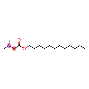 N,N-Dimethylglycine dodecyl ester