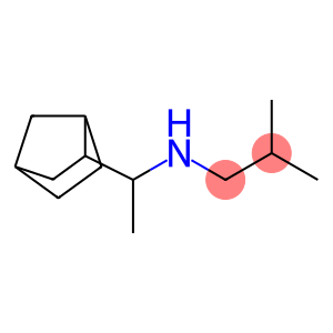 (1-{bicyclo[2.2.1]heptan-2-yl}ethyl)(2-methylpropyl)amine