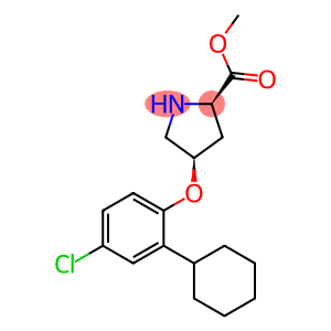 METHYL (2S,4S)-4-(4-CHLORO-2-CYCLOHEXYLPHENOXY)-2-PYRROLIDINECARBOXYLATE