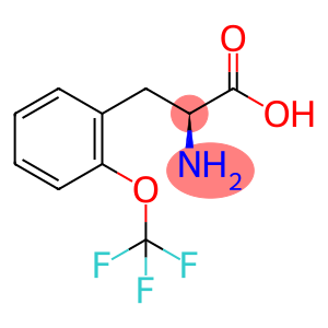 2-(三氟甲氧基)-DL-苯丙氨酸