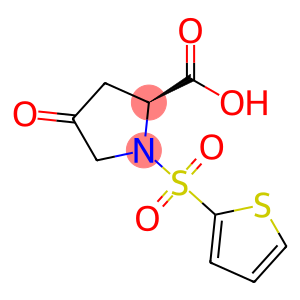 4-OXO-1-(2-THIENYLSULFONYL)-2-PYRROLIDINECARBOXYLIC ACID