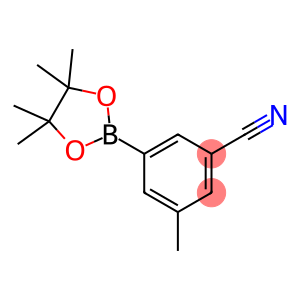 3-Methyl-5-(4,4,5,5-tetramethyl-[1,3,2]dioxaborolan-2-yl)-benzonitrile
