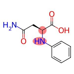 N~4~-phenylasparagine(SALTDATA: FREE)
