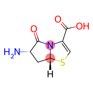 Pyrrolo[2,1-b]thiazole-3-carboxylic acid, 6-amino-5,6,7,7a-tetrahydro-5-oxo-, trans- (9CI)