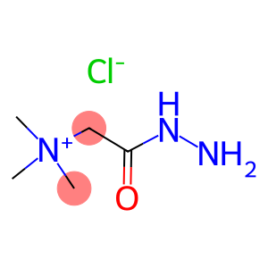 N,N,N-Trimethylacetyhydraziniumchloride