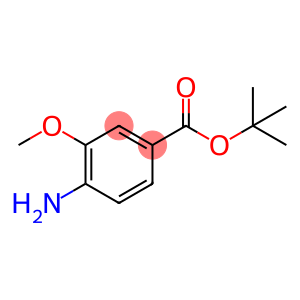 4-氨基-3-甲氧基苯甲酸叔丁酯