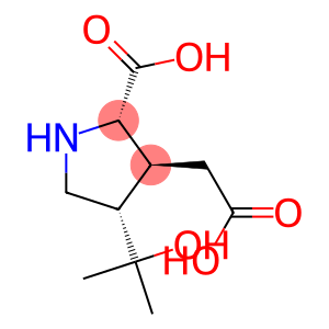 3-Pyrrolidineacetic acid, 2-carboxy-4-(1-hydroxy-1-methylethyl)-, [2S-(2α,3β,4α)]- (9CI)