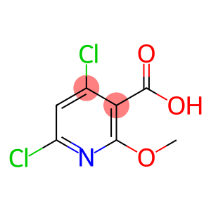 4,6-dichloro-2-methoxy-pyridine-3-carboxylic acid